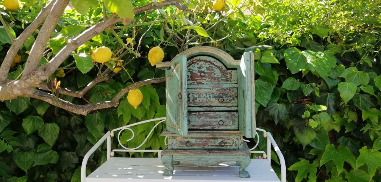 산판탈레오 La Porta Sulla Costa B&B 외부 사진