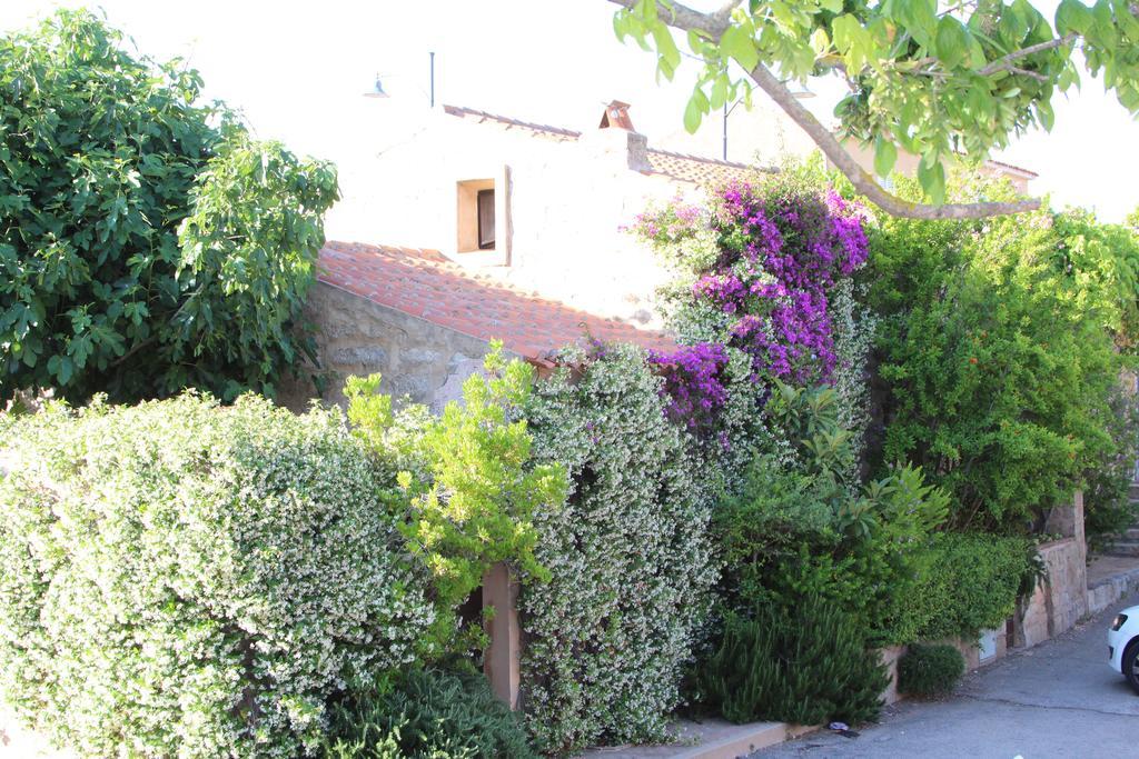 산판탈레오 La Porta Sulla Costa B&B 외부 사진