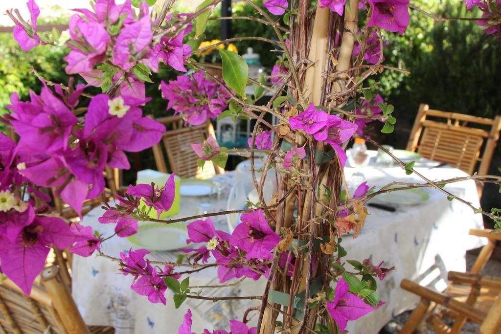 산판탈레오 La Porta Sulla Costa B&B 외부 사진